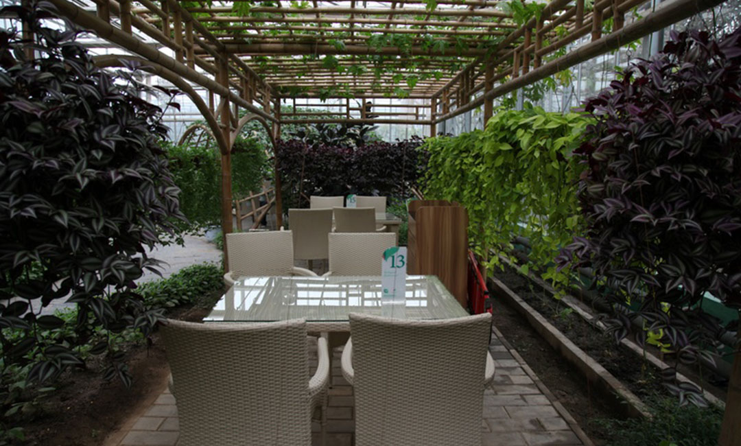 嘉兴康柏宇品牌文案撰写案例